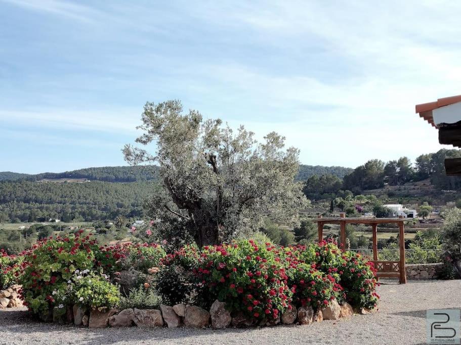 Casa Can Lluc Con Piscina, Jardin Y Vista Al Campo Sant Miquel de Balansat Екстериор снимка