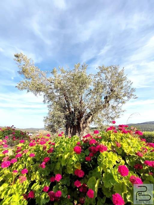 Casa Can Lluc Con Piscina, Jardin Y Vista Al Campo Sant Miquel de Balansat Екстериор снимка